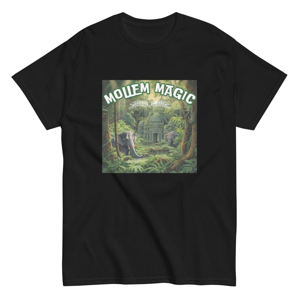 Mens Classic Tee Black Front 64bbadee28781.jpg