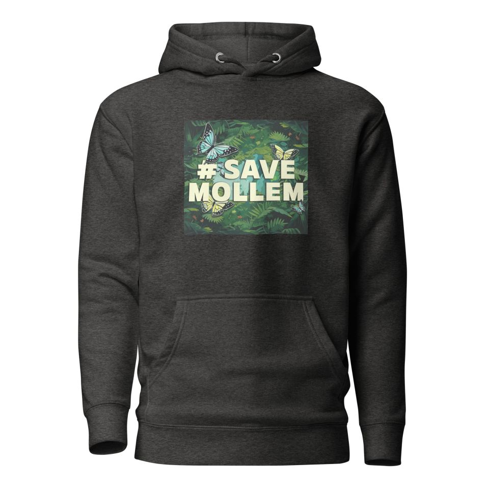 Unisex Premium Hoodie Charcoal Heather Front 652a659cbd9f3.jpg
