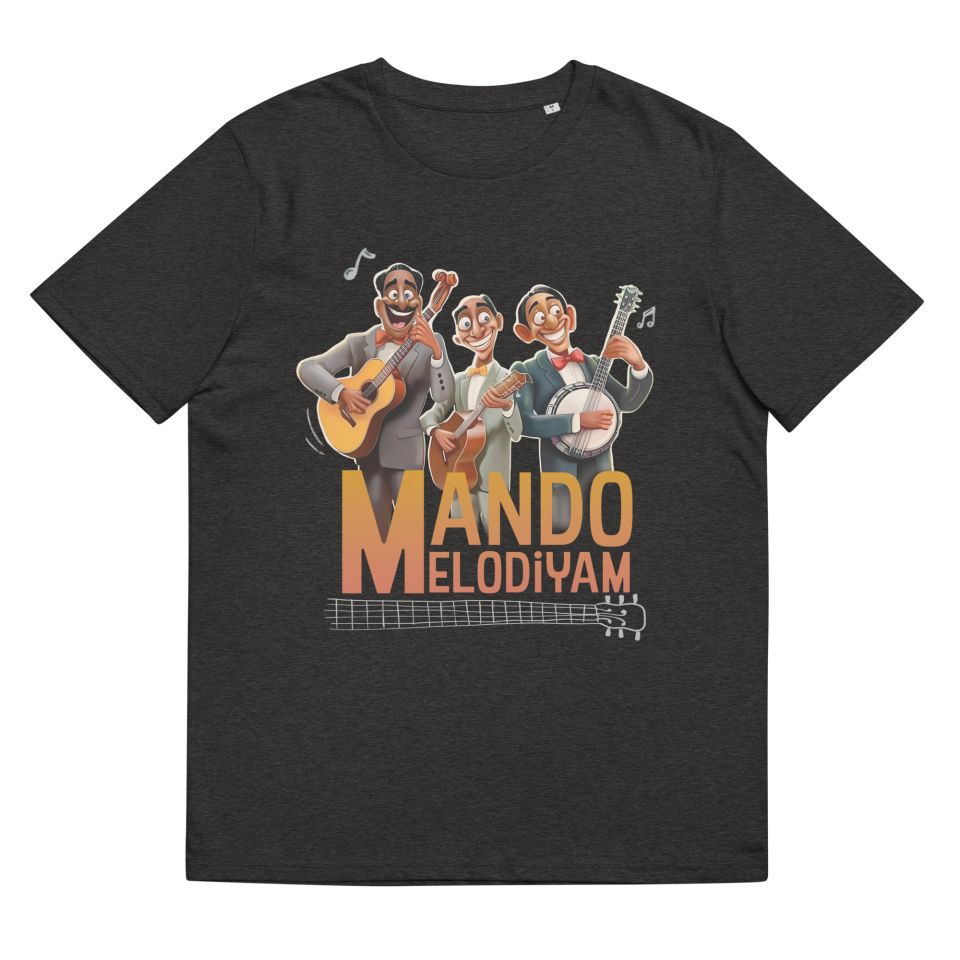 Unisex Organic Cotton T Shirt Dark Heather Grey Front 65239cc8ab74b 1.jpg