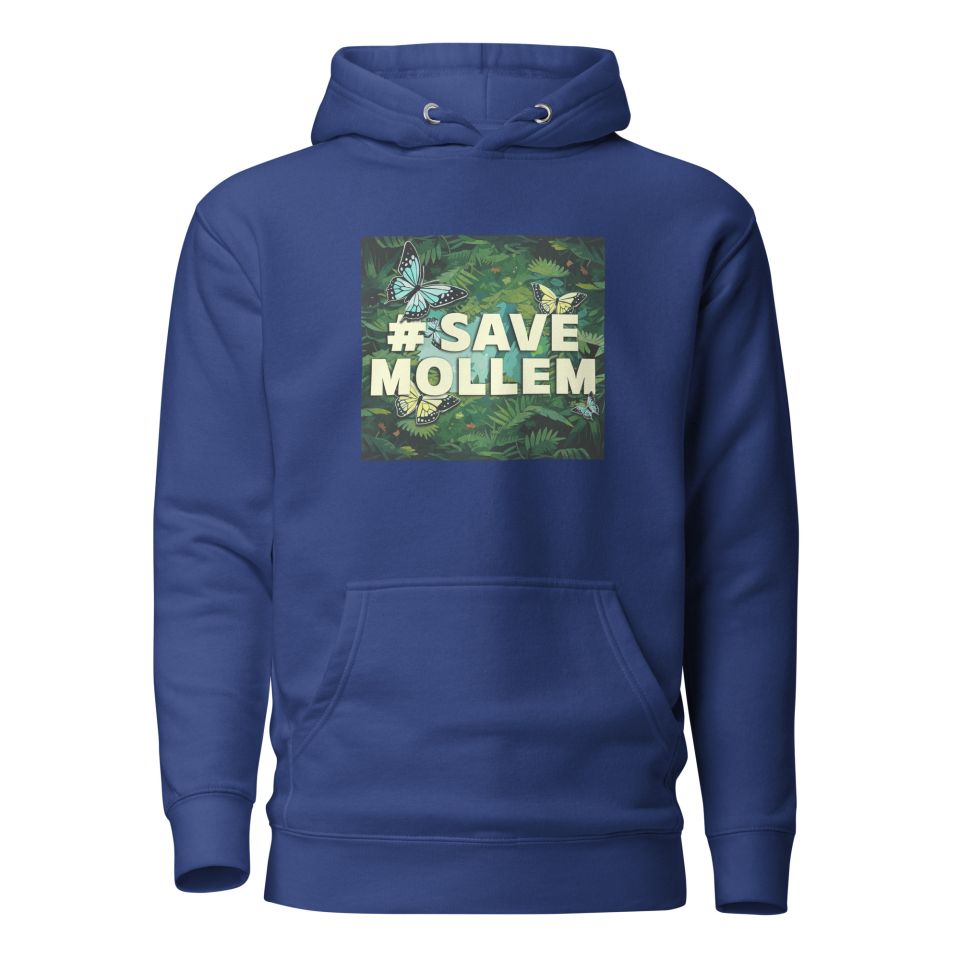 Unisex Premium Hoodie Team Royal Front 652a659cbeb53.jpg