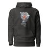 Unisex Premium Hoodie Charcoal Heather Front 654670e61b419.jpg