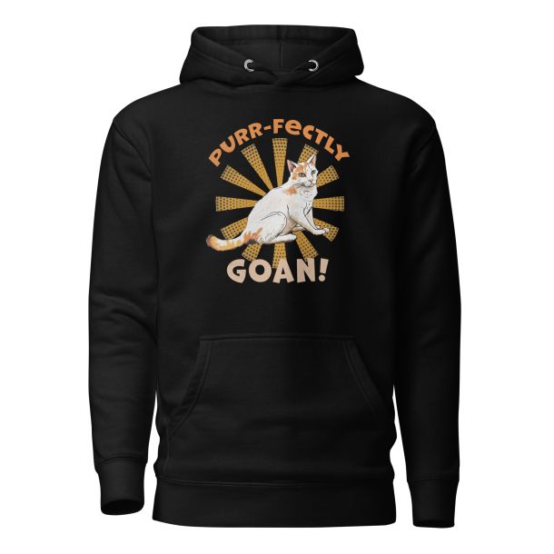 Unisex Premium Hoodie Black Front 652e464da2fa4.jpg