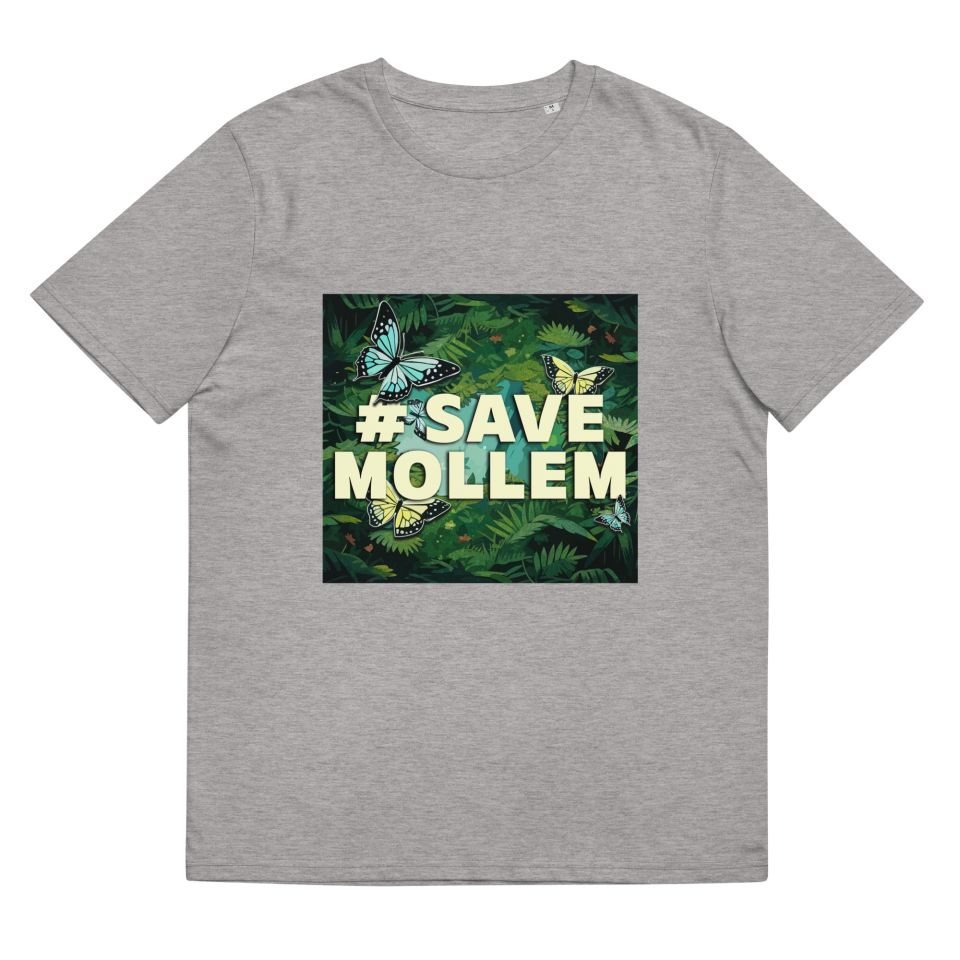 Unisex Organic Cotton T Shirt Heather Grey Front 651f9e666e20a.jpg