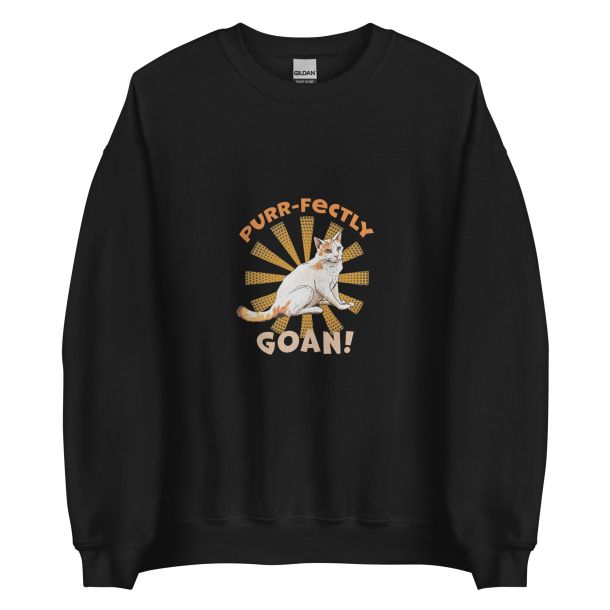 Unisex Crew Neck Sweatshirt Black Front 653e8d589d70a.jpg