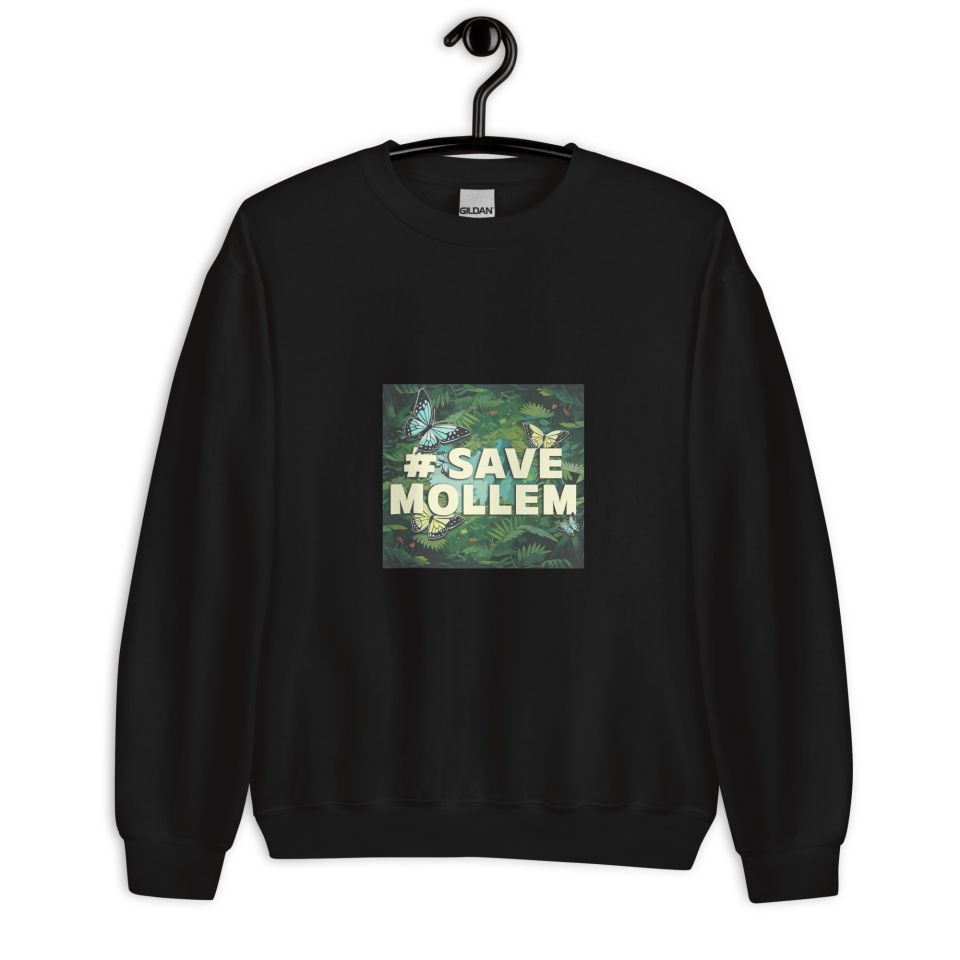 Unisex Crew Neck Sweatshirt Black Front 653d433dcf898.jpg
