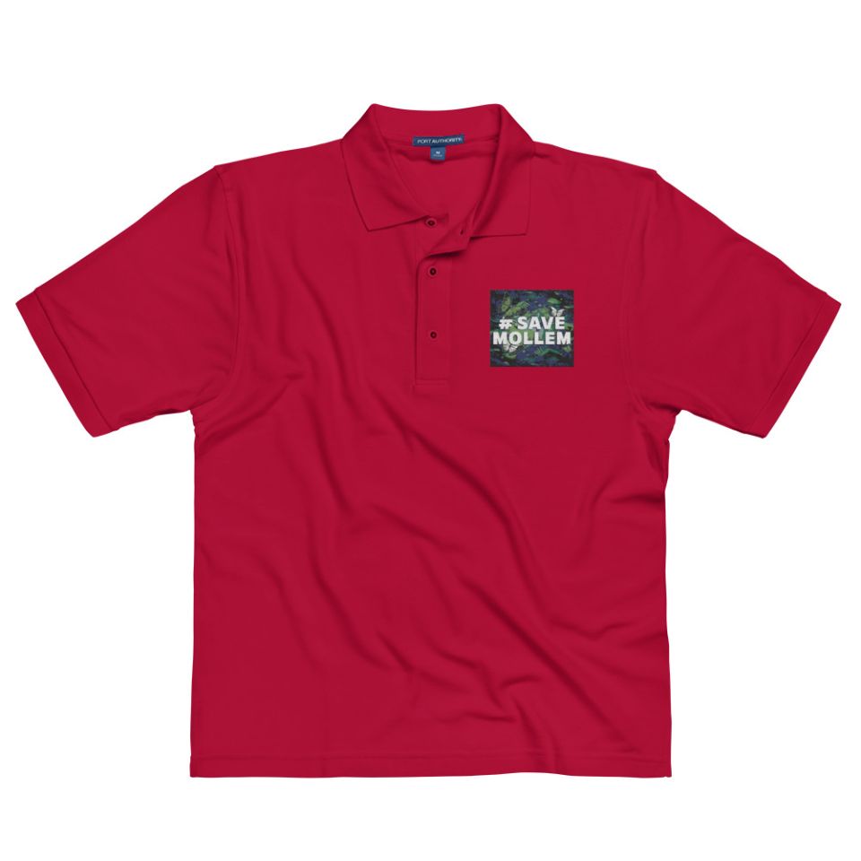 Premium Polo Shirt Red Front 64fae84d5146e.jpg