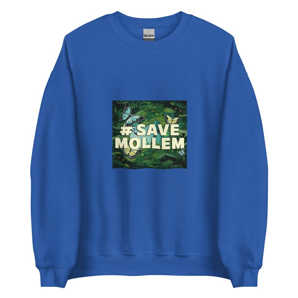 Unisex Crew Neck Sweatshirt Royal Front 653d433dd1f1d.jpg