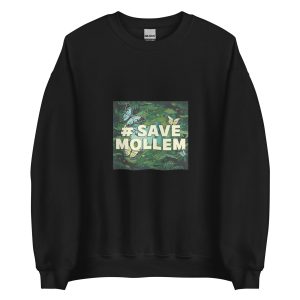 Unisex Crew Neck Sweatshirt Black Front 653d433dce58e.jpg